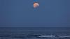 Click image for larger version. 

Name:	resized_Super Moon Eclipse_8034.jpg 
Views:	107 
Size:	45.2 KB 
ID:	2911