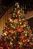 Click image for larger version. 

Name:	xmas tree.jpg 
Views:	225 
Size:	100.8 KB 
ID:	296